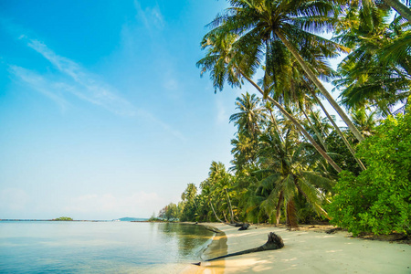 美丽的天堂海岛与海滩和海图片