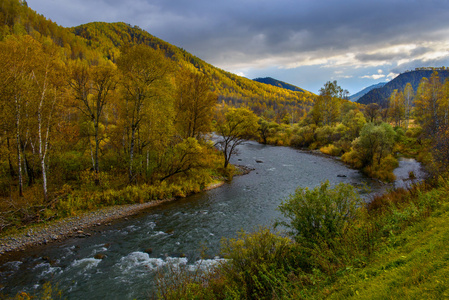 山区河流在金色的秋天图片