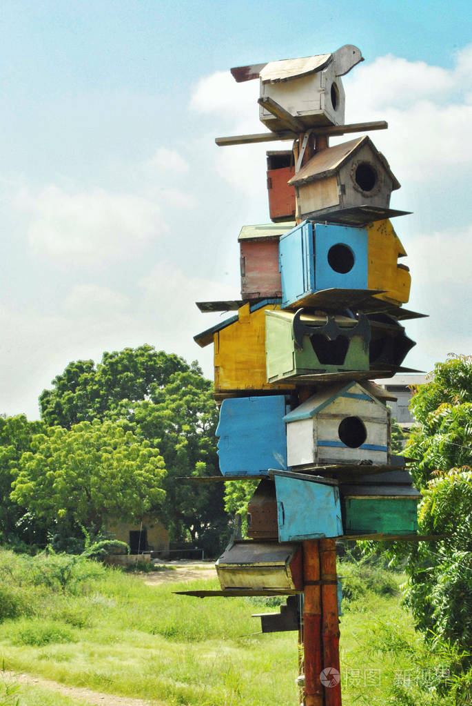 在丛林中的美丽的鸟房子