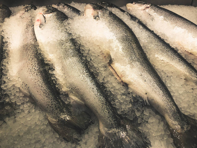 冷藏柜台冰上冷藏的鱼在市场上的柜台上照片