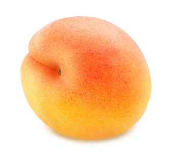 孤立的成熟橙色杏