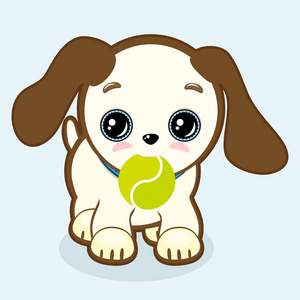 瞪眼的大耳朵狗图片