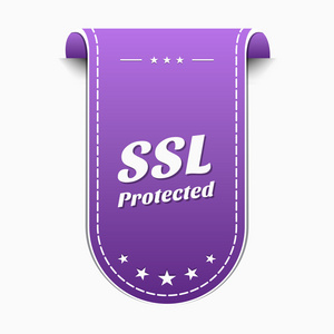 受 Ssl 保护的图标设计