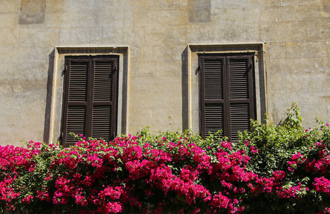 传统的意大利 windows 与百叶窗在罗马，意大利的房子之一