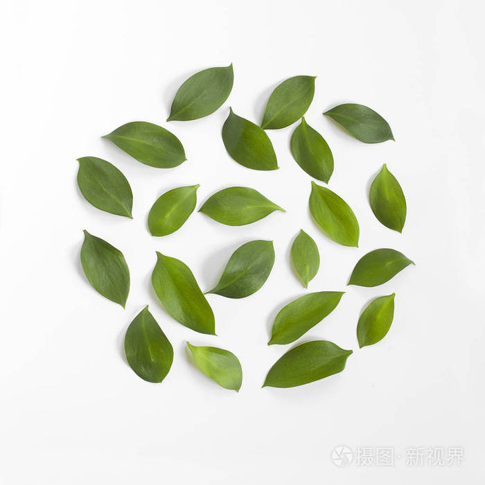 圆的形状由绿色叶子在白色背景.平躺, 顶部视图