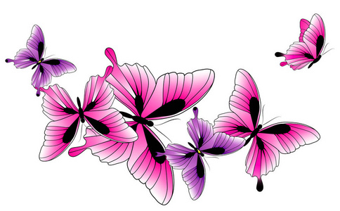 美丽的粉红色蝴蝶孤立在白色背景, 矢量, 插图