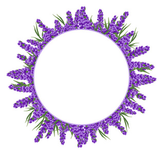 水彩风格紫色薰衣草花文本的圆形背景