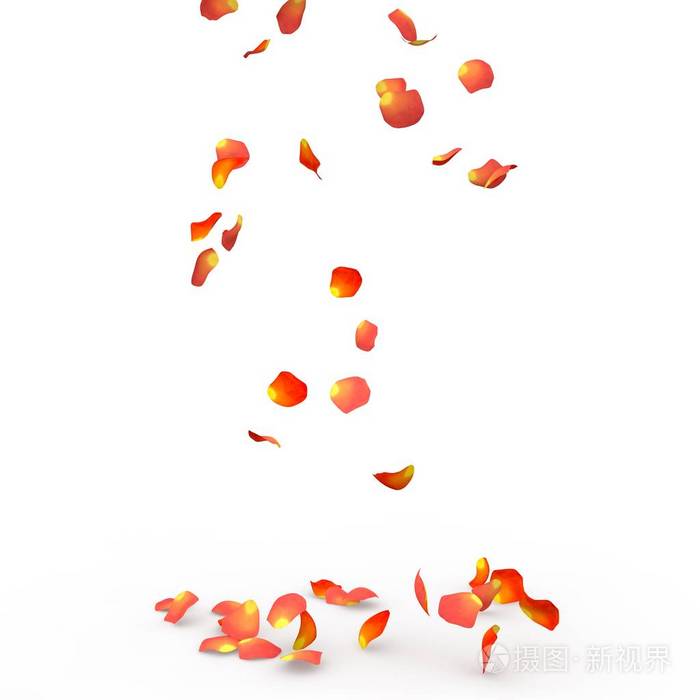 玫瑰花瓣掉在地上