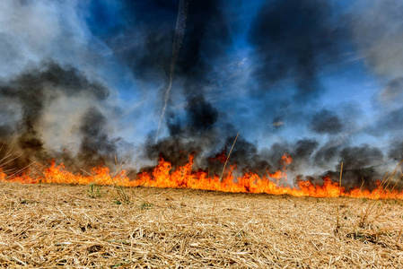 焚烧农田, 烟雾污染。全球形象及其自然灾害风险