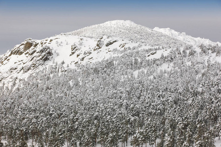 冬天山森林下雪风景。纳瓦塞拉达, 西班牙。水平