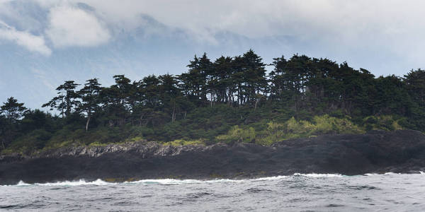 岛上的树木, 斯基纳夏洛特区域区, 海达 Gwaii, 格雷厄姆岛, 不列颠哥伦比亚, 加拿大