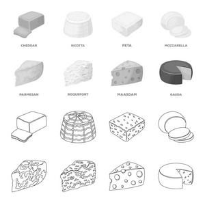 帕尔马, 雷孟达, maasdam, gauda。不同类型的奶酪集合图标的轮廓, 单色风格矢量符号股票插画网站