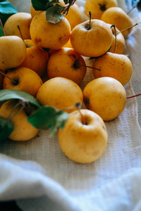 金黄苹果与叶子, 家庭庭院