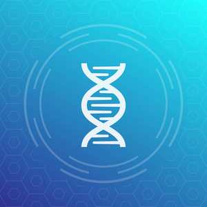 基因组钢绞线dna 链矢量图标标志照片