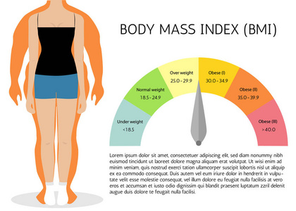 Bmi 或体质量指数图表图. 矢量图示