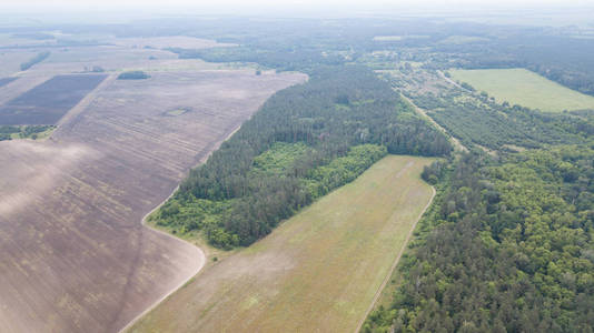 绿场鸟瞰图。在田野上飞过绿草和小湖。湖泊和田野附近森林的空中调查。以上农田