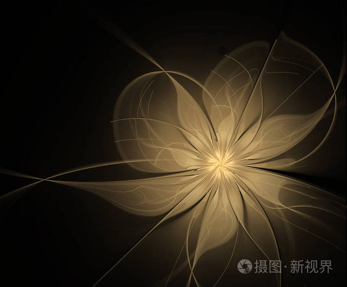 在黑色背景上的抽象形金色花