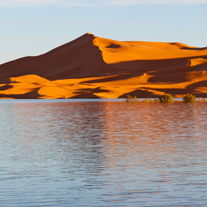 摩洛哥沙子和沙丘湖黄色沙漠中的阳光