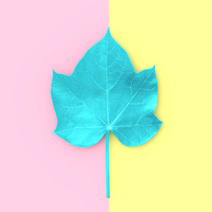 绿色的叶子和复制空间的粉红色和黄色的背景, 顶部的看法。概念粉彩 color,3d 渲染