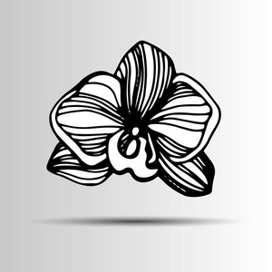 卡通插图的兰花矢量图标。手绘兰花花镶。黑色和白色矢量图