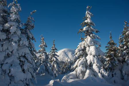 下雪的冬天，在喀尔巴阡山