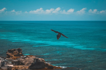 坎昆海滩景观