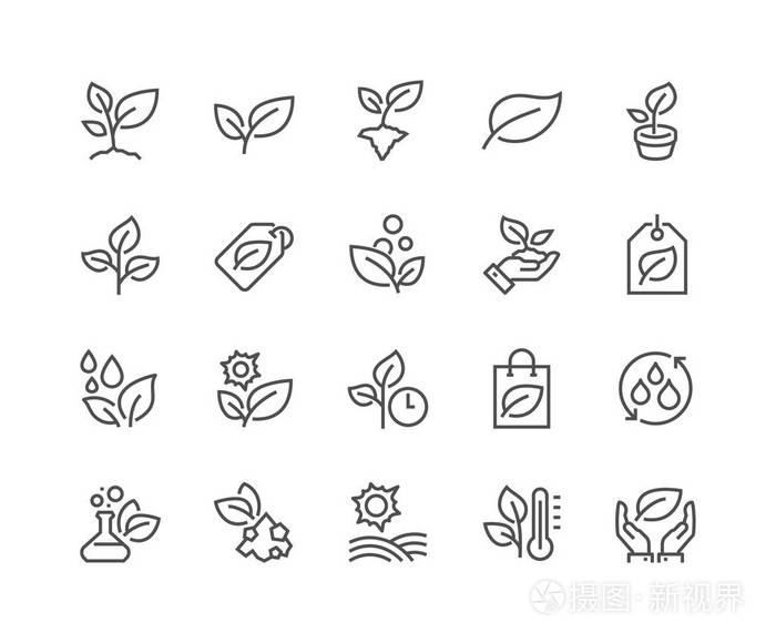 线条植物图标