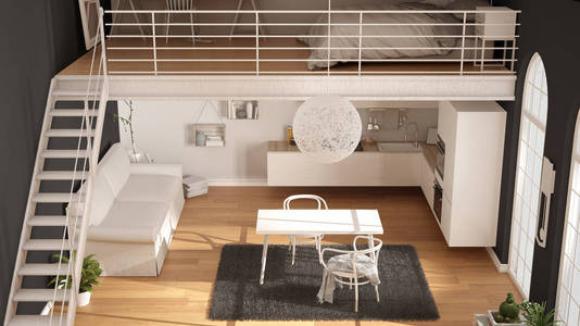 斯堪的纳维亚的简约阁楼，带白色恪守一居室公寓