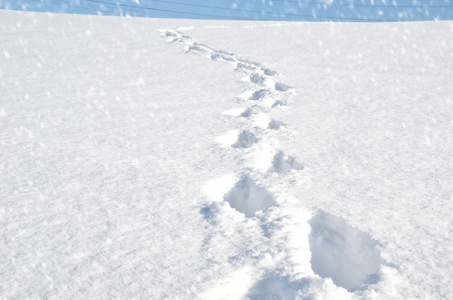 脚步声在雪地里山