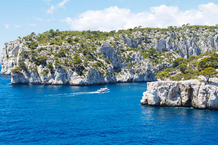 calanques 的黑醋栗，普罗旺斯，法国的端口引脚