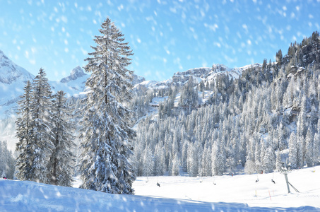 Braunwald 冬季景观