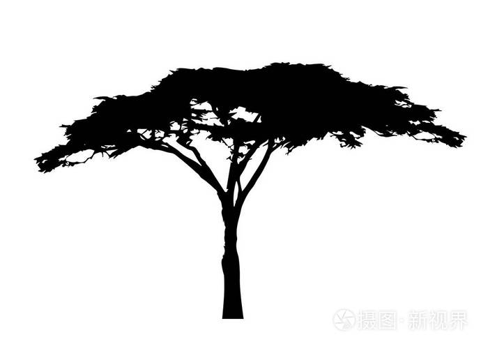 非洲树图标, 相思树剪影, 向量分离插画-正版商用图片0opikv-摄图新