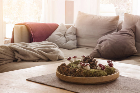 舒适的沙发在客厅里的毯子