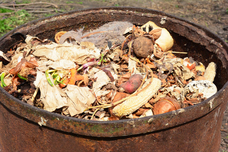 用食品废料关闭金属堆肥箱