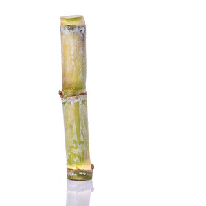 种植园甘蔗, 甘蔗养殖场, 背景甘蔗, 甘蔗农业甘蔗新鲜的白色背景