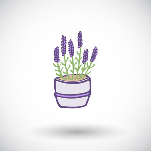 薰衣草卡通图片