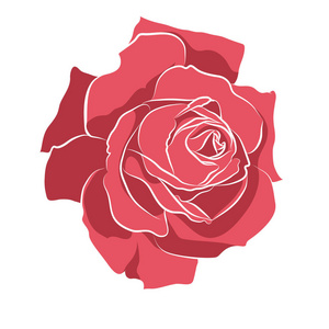 美丽手绘制的模具玫瑰，白色背景上分离。植物的花的剪影