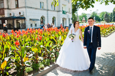 新婚夫妇在草坪的红色的城市街道上行走