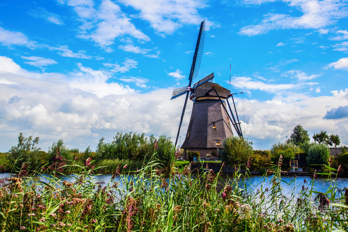 风车村荷兰的大风车