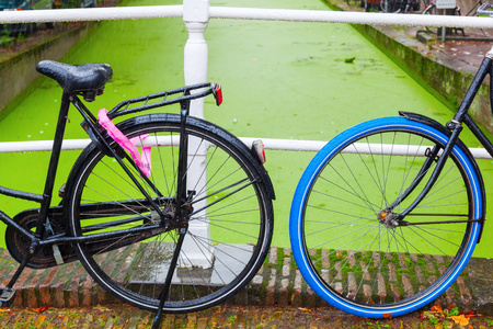 荷兰城桥上的自行车