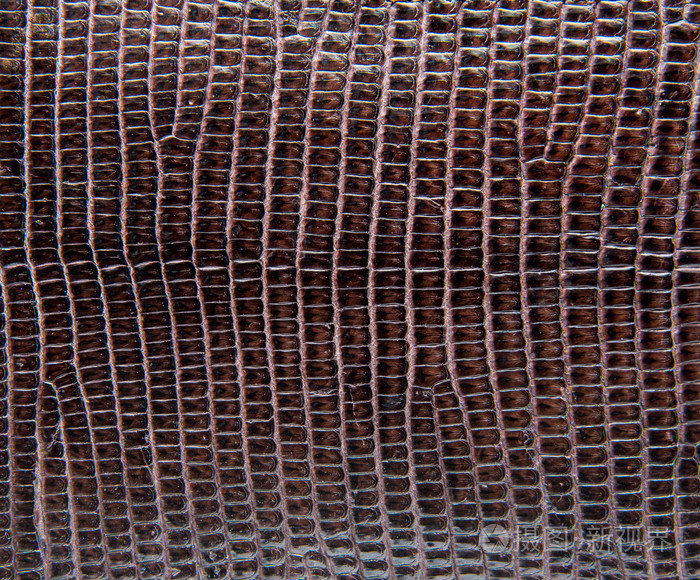 棕色蜥蜴皮抽象皮革纹理背景