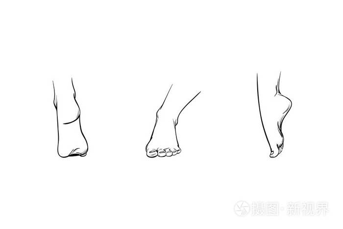 腿的图标直, 后, 侧面.足部图像或部分插图, 矢量