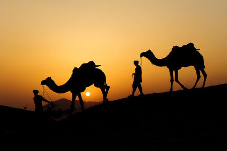 穿越沙丘的通道图片