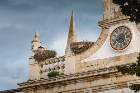 在葡萄牙的法鲁城拱上建的鹳巢图片