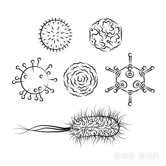 流感和大肠杆菌细菌.矢量图插画-正版商用图片0oqbgl-摄图新视界