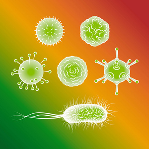 流感病毒和大肠杆菌细菌。颜色矢量图