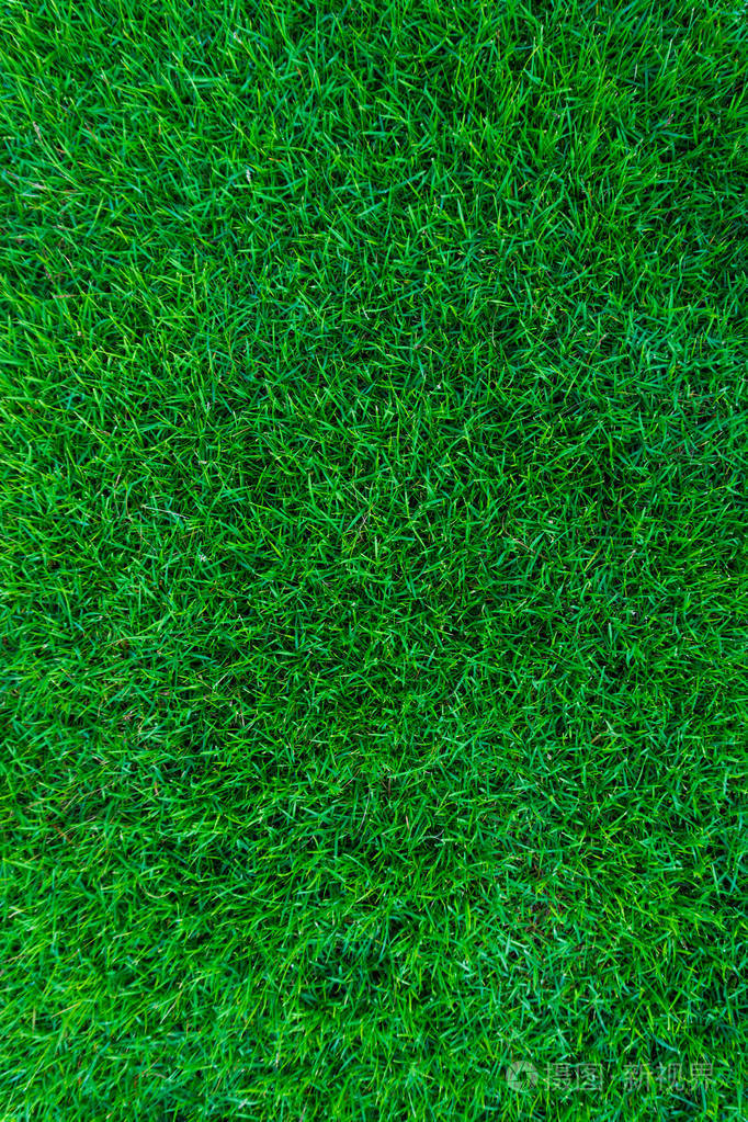 自然绿草背景