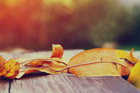 秋天的落叶在木桌的顶视图图像