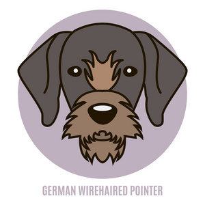 德国 wirehaired 指针的肖像