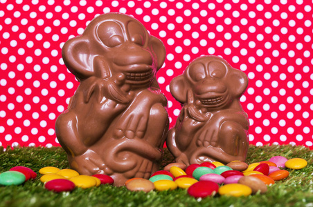 巧克力猴子在草地上照片